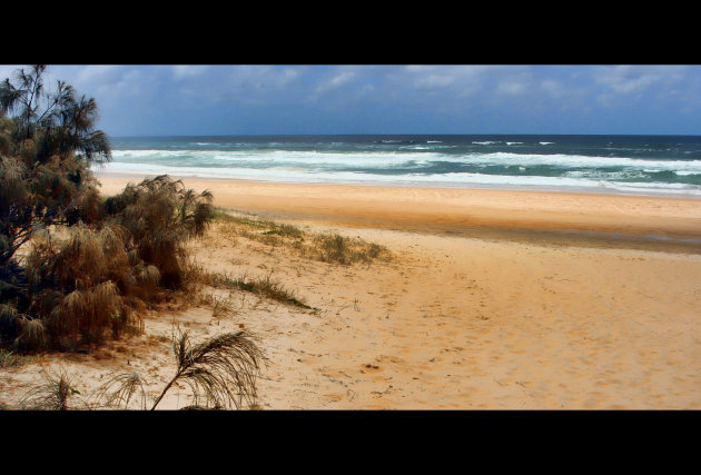 Fraser Island