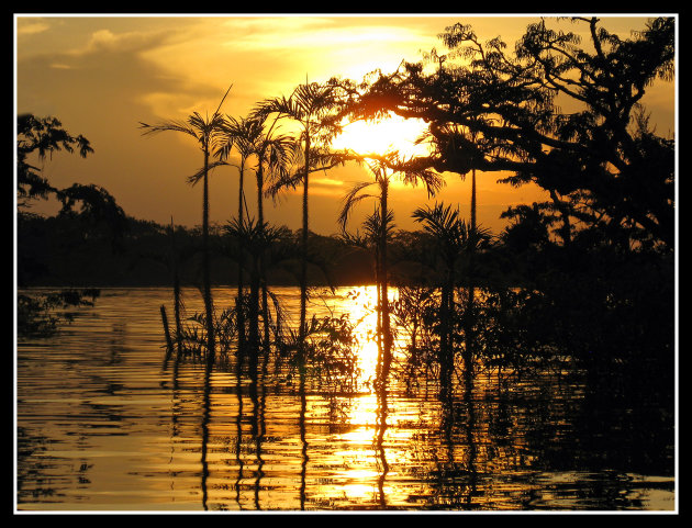 Zonsondergang in de Jungle.