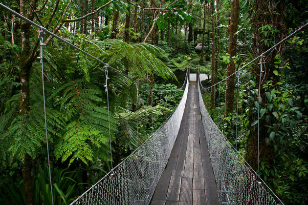 Hanging Bridges Arenal