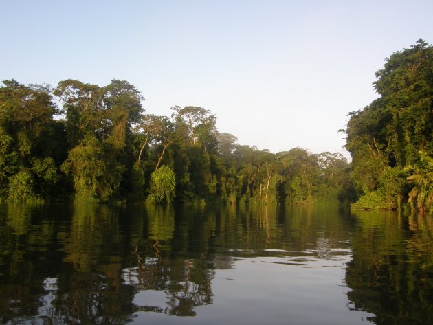 jungle vanaf het water