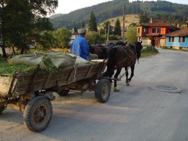 Paard -en wagen, Koprikshtista