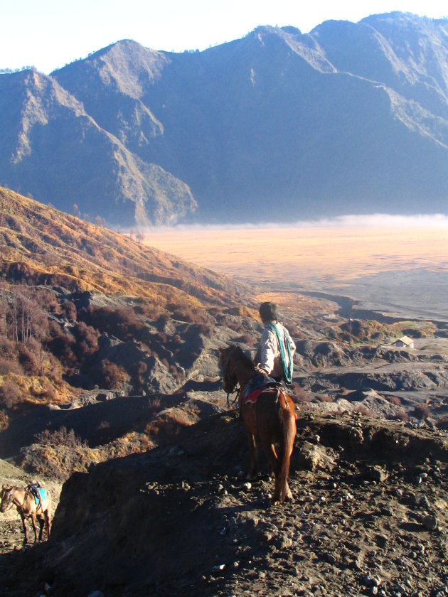 Bij de Bromo vulkaan