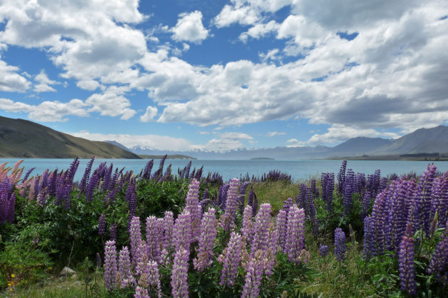 Lake Tekapo