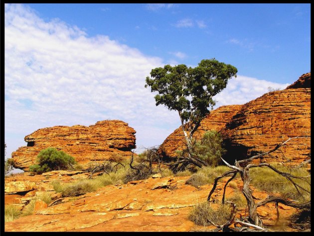 Kings Canyon