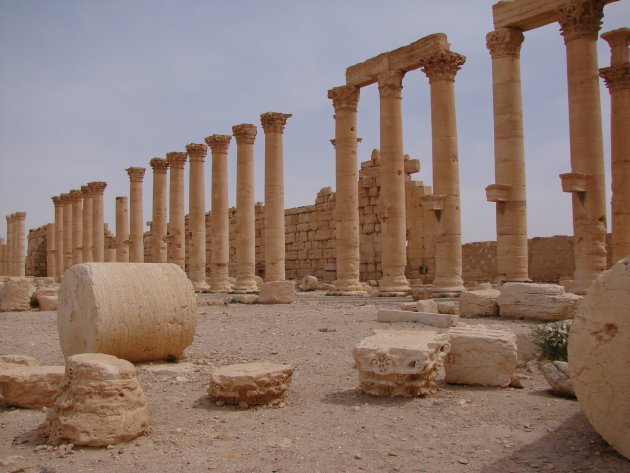 Palmyra