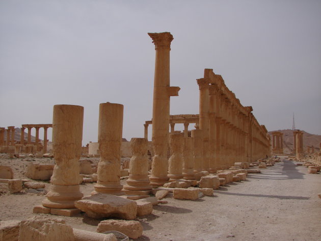 Palmyra 2