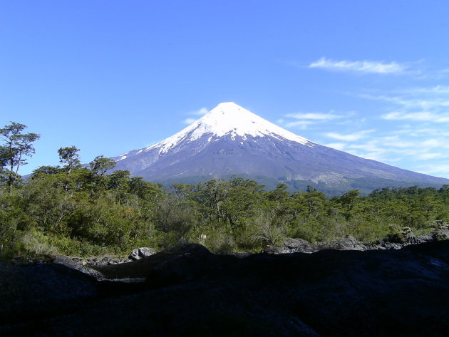 Net de Fuji in Japan 