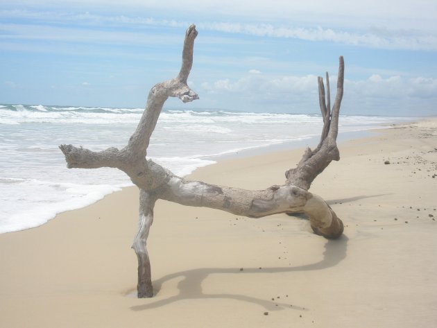 Fraser Island