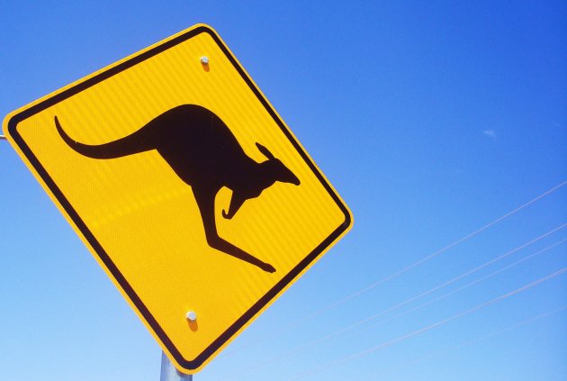 Kangaroo Sign