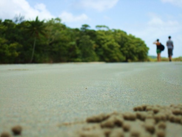 Cape Tribulation