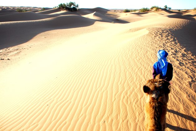 Walking the dessert