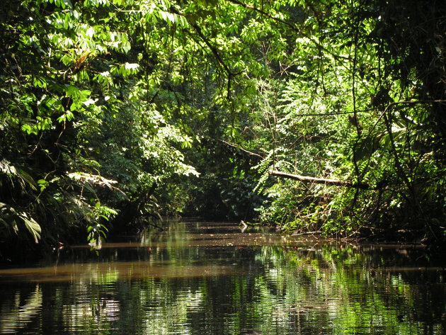 Waterweg in Tortuguero