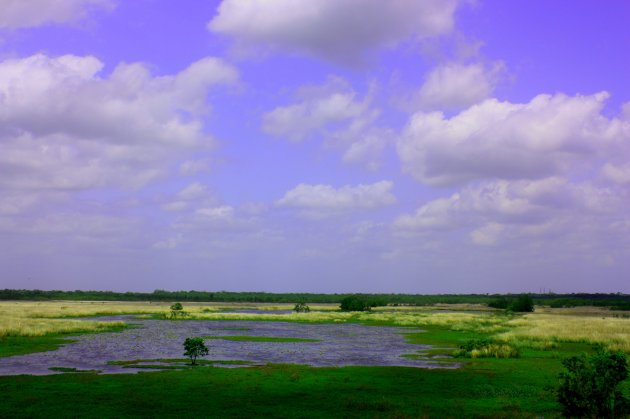 Natuurpark