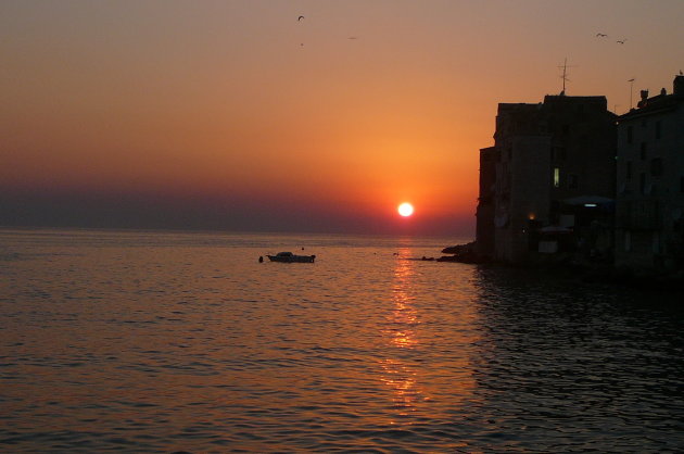 Rovinj by night