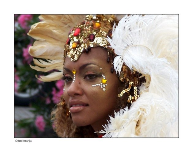 sint maarten carnaval