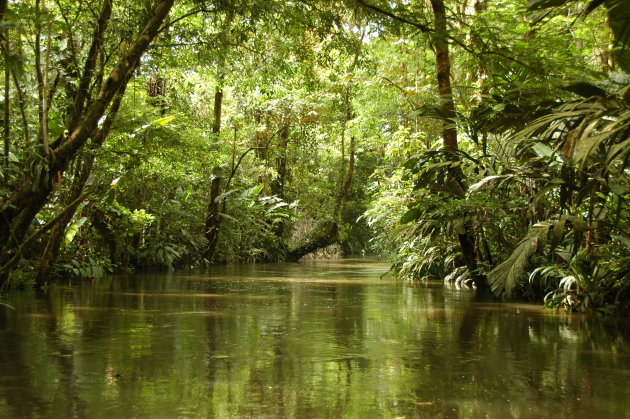 Tortuguero National Park