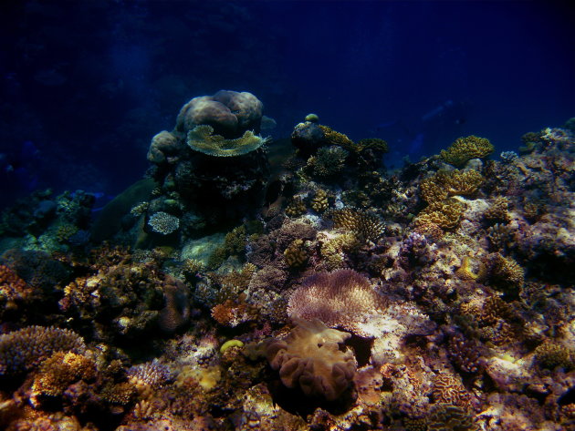 Great Barrier Reef