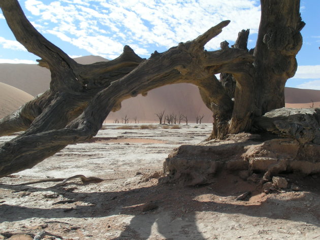 Deadvlei, Namibie