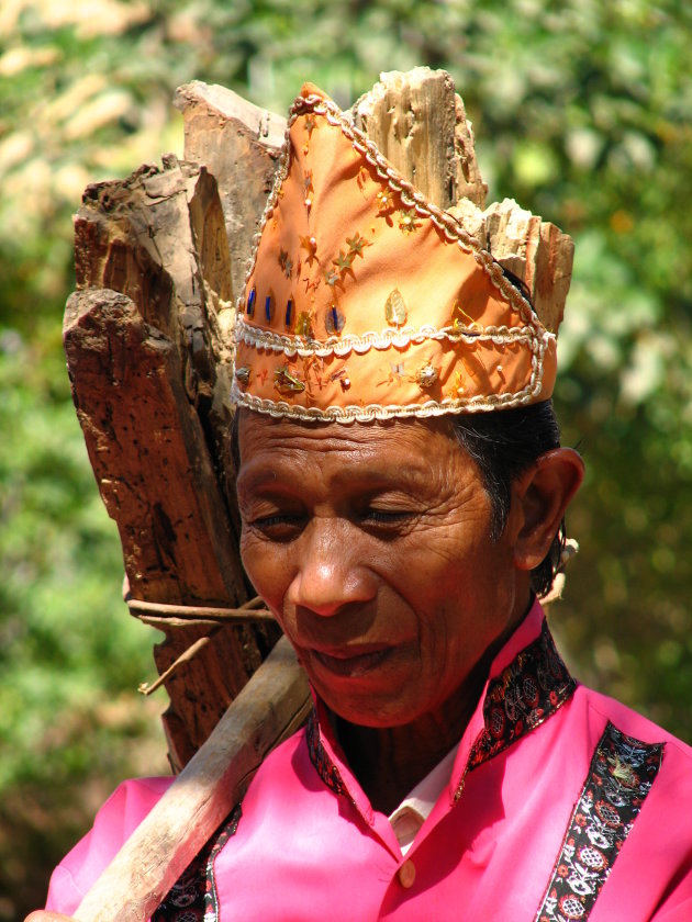 Portret van een muzikant