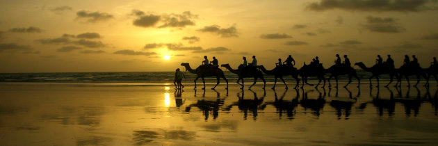 Camelride Cable Beach - Western Australia