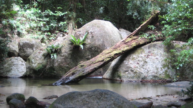 Mossman Gorge