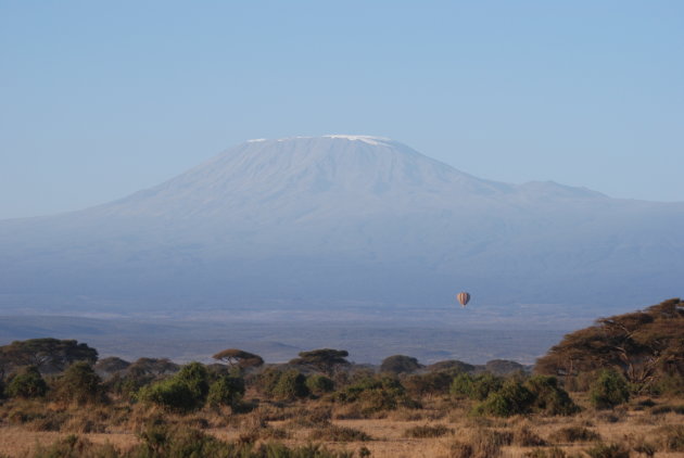 kilimanjaro