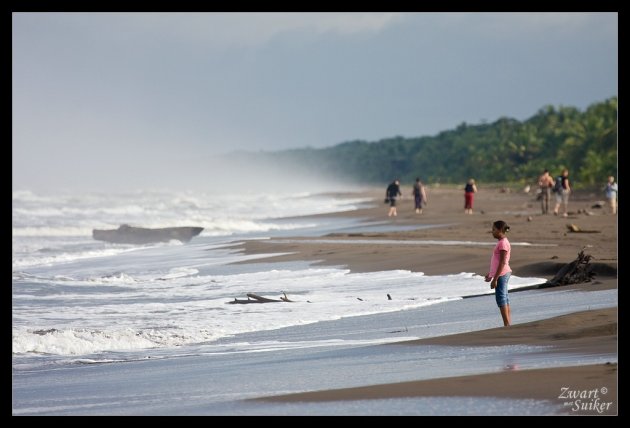 Tortuguero beach