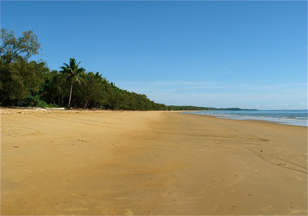 Cape Tribulation