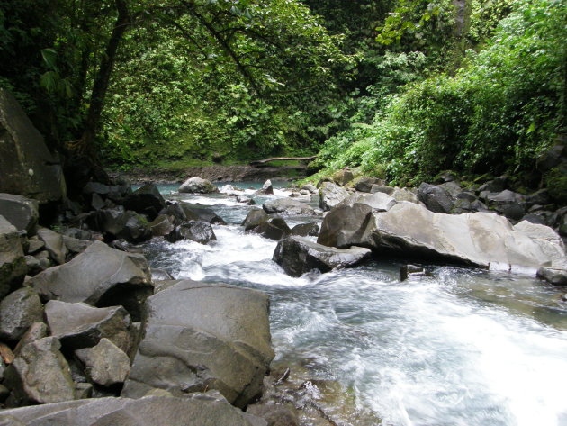 Rivier door de jungle