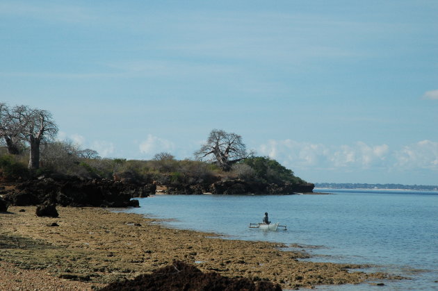 Visser in Pemba Bay