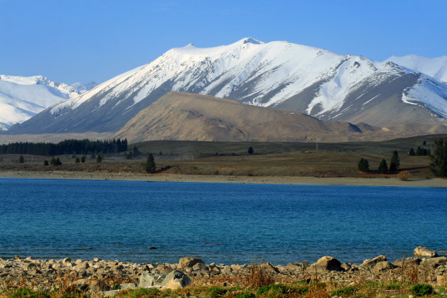 Lake Tekapo view