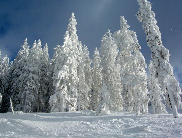 Prachtig winterlandschap!