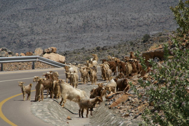 Jabal al Akhdar gebergte 