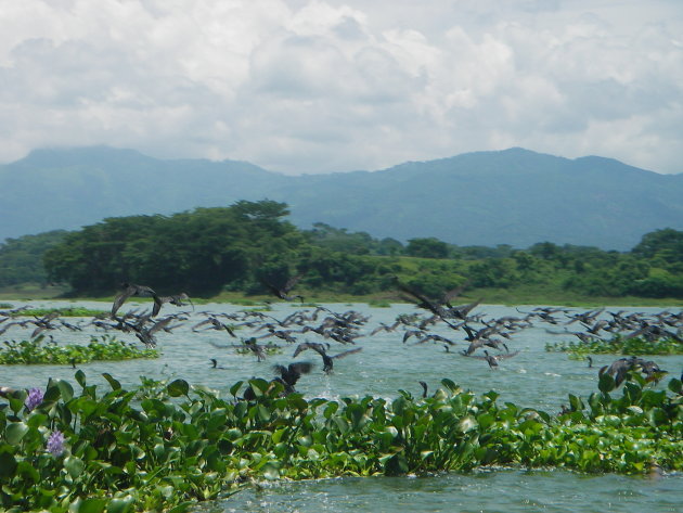 Het meer bij Suchitoto