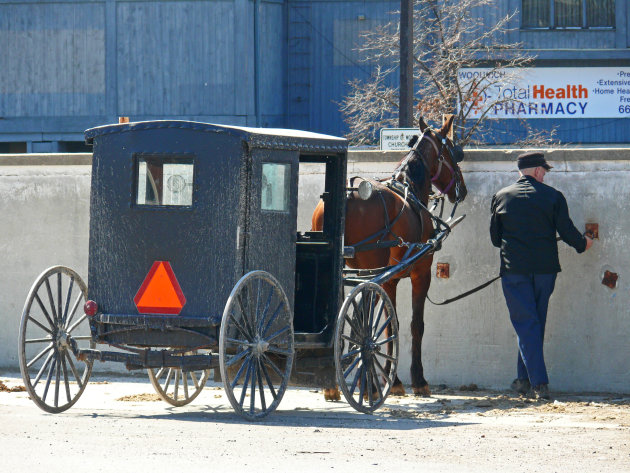 Mennonieten