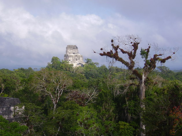 Tikal