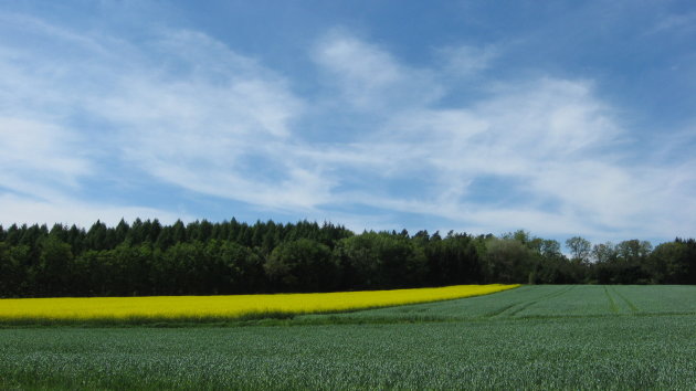 Groen, geel en blauw