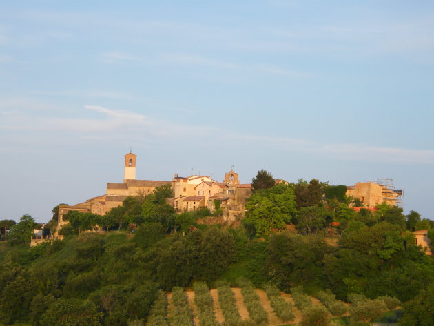 Tortoretto alto