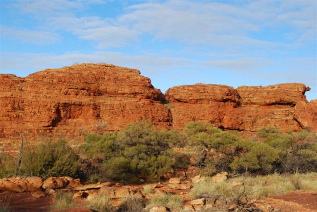 Kings canyon  Red Center 