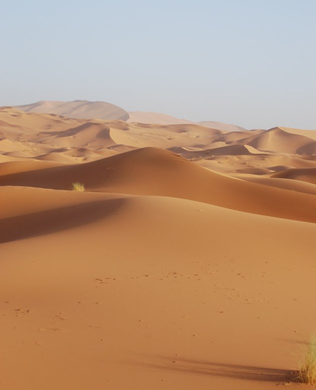 Erg Chebbi 