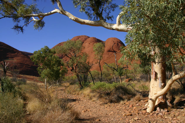 Kata Tjuta