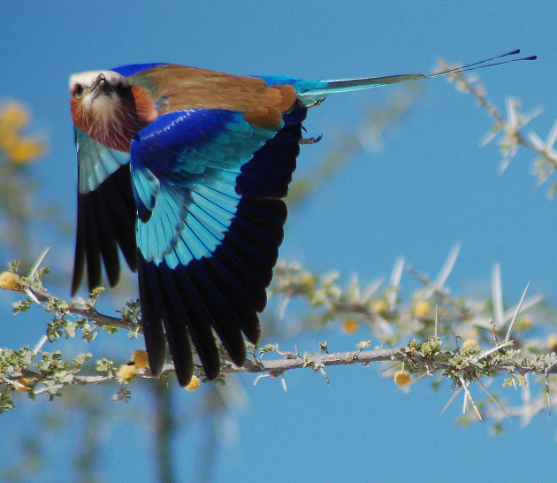 In vogelvlucht