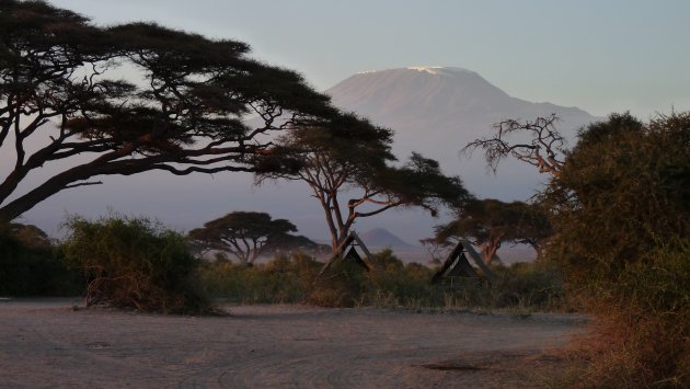 Kilimanjaro, dak van Afrika in Ochtendgloren