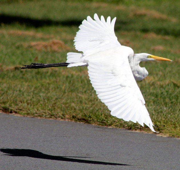 LANDING