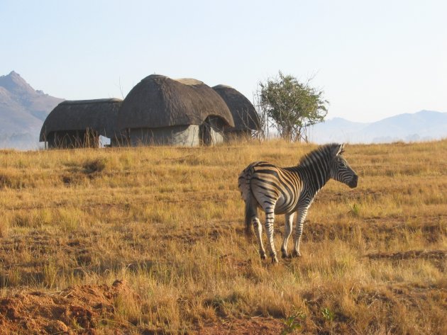 hluhluwe Umfolozi Park