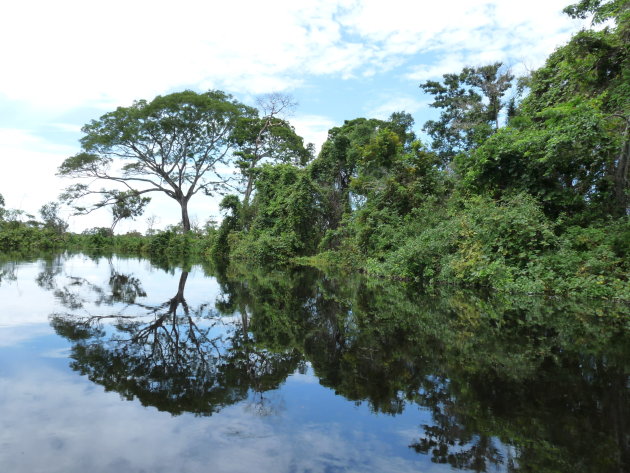 Wereldbol door weerkaatsing rivier