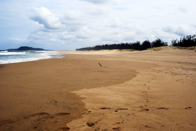 St. Lucia´s Wetlands