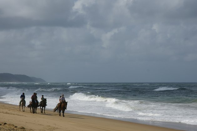 Horseriding