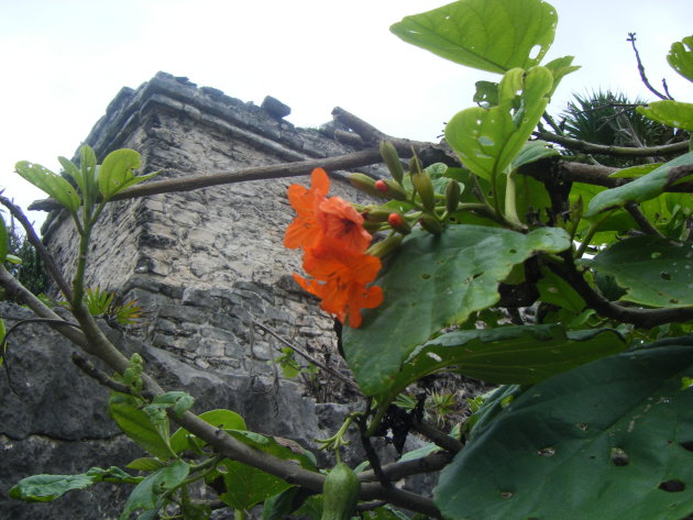 Tulum