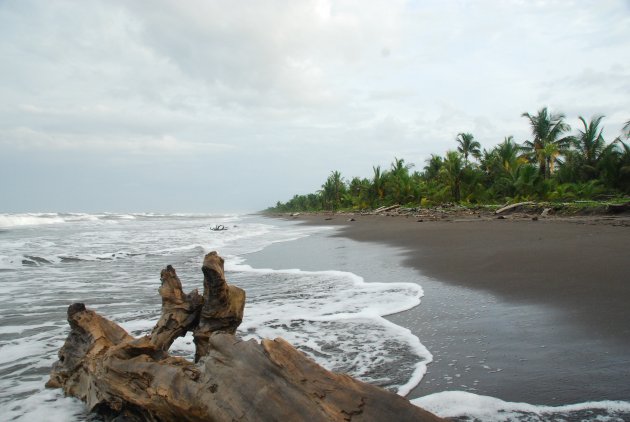 Turtle beach Tortuguero